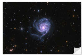 Wall sticker The Pinwheel Galaxy - M101