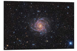 Aluminium print The Hidden Galaxy - IC 342