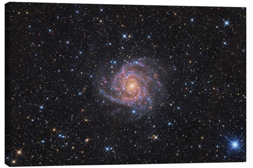 Canvas print The Hidden Galaxy - IC 342