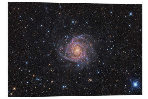 Foam board print The Hidden Galaxy - IC 342