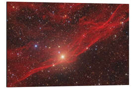 Magnettafel Der rote Schleier - LBN331