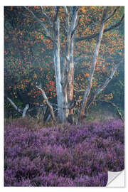 Vinilo para la pared Autumn and heather in the morning