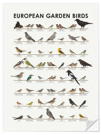 Selvklebende plakat European Garden Birds