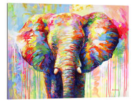 Tableau en plexi-alu Colorful elephant