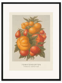 Gerahmter Kunstdruck Tomatensorten