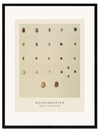 Impressão artística com moldura Bean Varieties