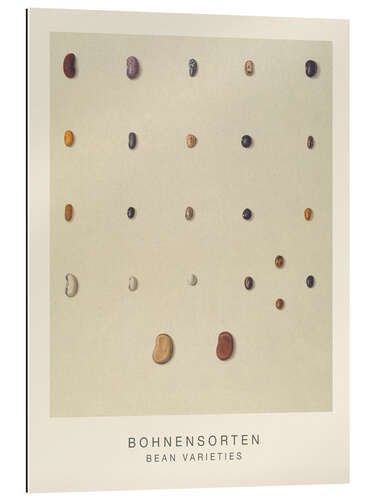 Galleriprint Bean Varieties