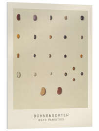 Gallery print Bean Varieties