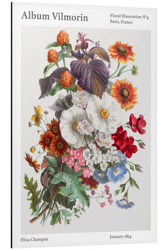 Alumiinitaulu Album Vilmorin, Floral Illustration n° 4, 1854
