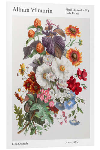 Cuadro de PVC Album Vilmorin, Floral Illustration n° 4, 1854