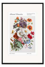 Gerahmter Kunstdruck Album Vilmorin, Floral Illustration n° 4, 1854