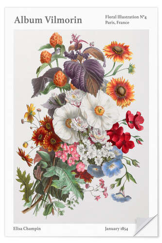 Selvklæbende plakat Album Vilmorin, Floral Illustration n° 4, 1854