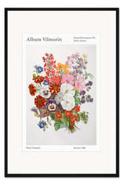 Gerahmter Kunstdruck Album Vilmorin, Floral Illustration n° 6, 1856