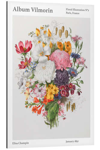 Tableau en aluminium Album Vilmorin, Floral Illustration n° 2, 1852