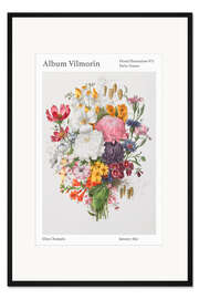 Gerahmter Kunstdruck Album Vilmorin, Floral Illustration n° 2, 1852