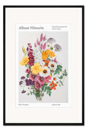 Gerahmter Kunstdruck Album Vilmorin, Floral Illustration n° 4, 1857