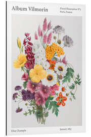 Magnettafel Album Vilmorin, Floral Illustration n° 4, 1857