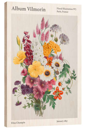 Holzbild Album Vilmorin, Floral Illustration n° 4, 1857