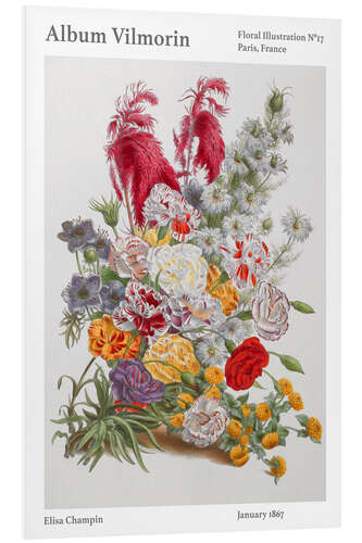 Cuadro de PVC Album Vilmorin, Floral Illustration n° 17, 1867