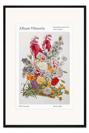 Gerahmter Kunstdruck Album Vilmorin, Floral Illustration n° 17, 1867