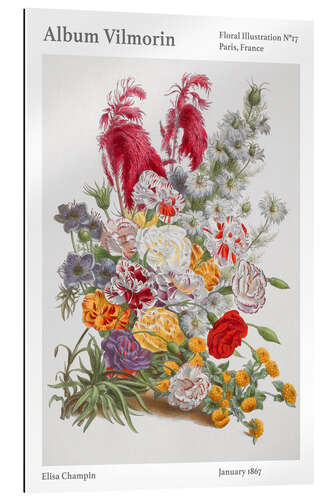 Gallery print Album Vilmorin, Floral Illustration n° 17, 1867