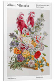 Magnettafel Album Vilmorin, Floral Illustration n° 17, 1867