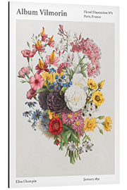 Aluminium print Album Vilmorin, Floral Illustration n° 1, 1851