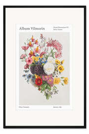 Gerahmter Kunstdruck Album Vilmorin, Floral Illustration n° 1, 1851