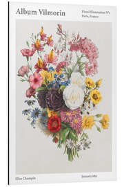 Magnettafel Album Vilmorin, Floral Illustration n° 1, 1851