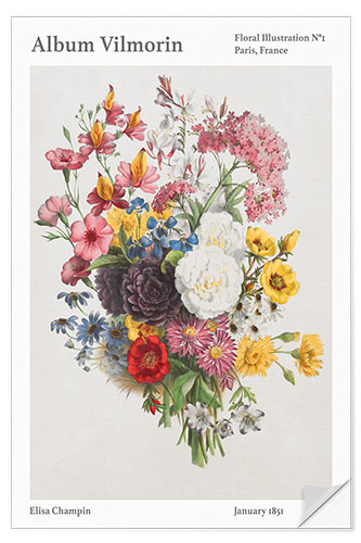 Selvklæbende plakat Album Vilmorin, Floral Illustration n° 1, 1851