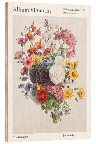 Hout print Album Vilmorin, Floral Illustration n° 1, 1851