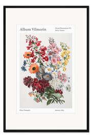 Gerahmter Kunstdruck Album Vilmorin, Floral Illustration n° 3, 1853