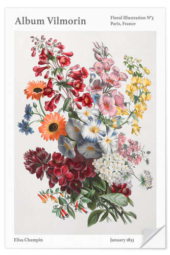 Selvklebende plakat Album Vilmorin, Floral Illustration n° 3, 1853