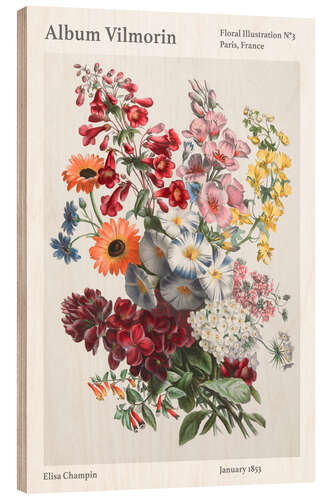 Quadro de madeira Album Vilmorin, Floral Illustration n° 3, 1853