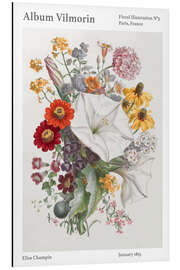 Magnettafel Album Vilmorin, Floral Illustration n° 5, 1855