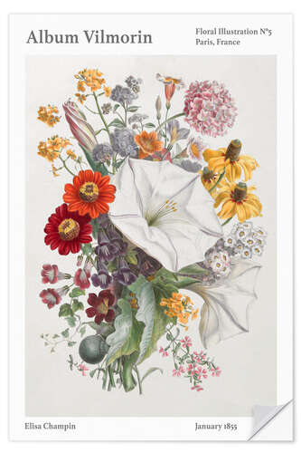 Selvklebende plakat Album Vilmorin, Floral Illustration n° 5, 1855