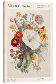 Quadro de madeira Album Vilmorin, Floral Illustration n° 5, 1855