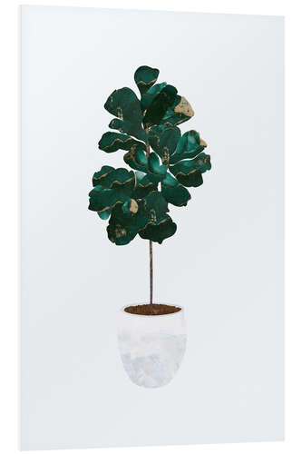 Foam board print Fiddle Leaf Fig