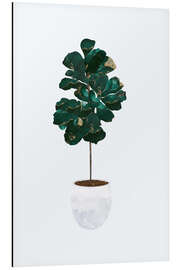 Magnettafel Geigenblatt-Feige