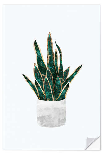 Sticker mural Golden Snake Plant