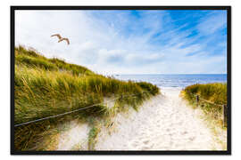 Gerahmter Kunstdruck Eine Möwe genießt den Wind