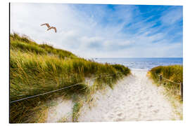 Magnettafel Eine Möwe genießt den Wind
