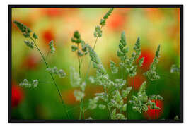 Gerahmter Kunstdruck Gras auf einer Frühlingswiese I