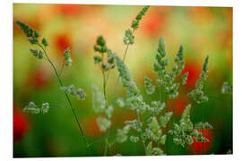 Foam board print Grass on a spring meadow I