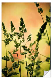 Selvklæbende plakat Grass on a spring meadow II