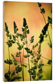 Wood print Grass on a spring meadow II