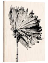 Stampa su legno Withering Chrysanthemum II