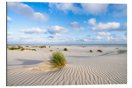 Aluminium print Dune sand in summer at the North Sea