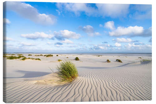 Quadro em tela Dune sand in summer at the North Sea