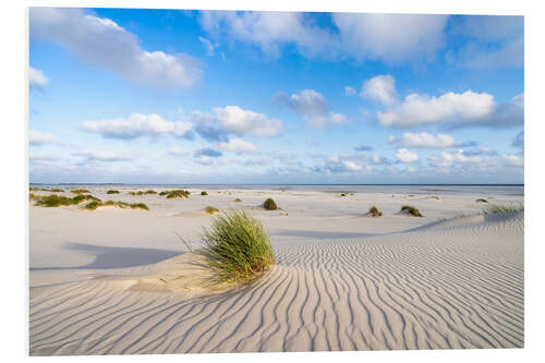 Bilde på skumplate Dune sand in summer at the North Sea